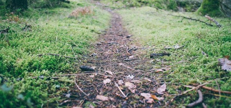 Reversible vs Irreversible Decisions Explained