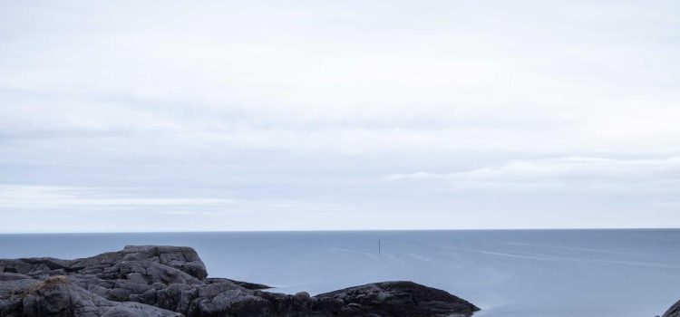 Closing the Strategy-Execution Gap That Stalls Plans